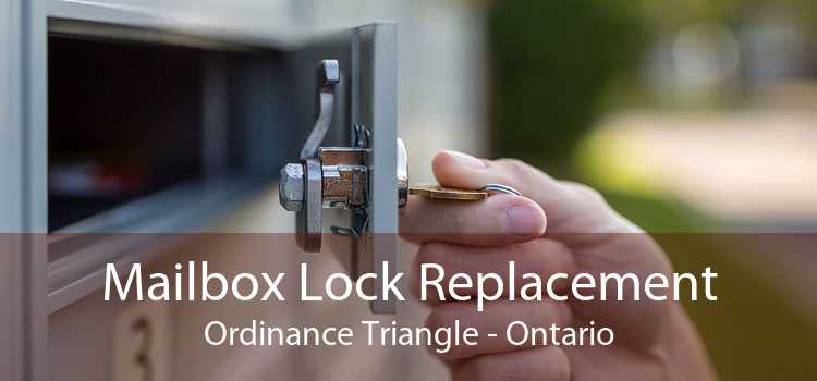 Mailbox Lock Replacement Ordinance Triangle - Ontario