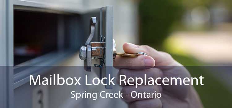 Mailbox Lock Replacement Spring Creek - Ontario
