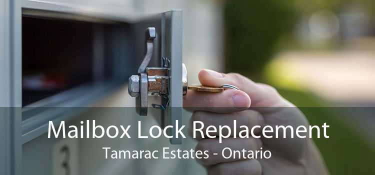 Mailbox Lock Replacement Tamarac Estates - Ontario