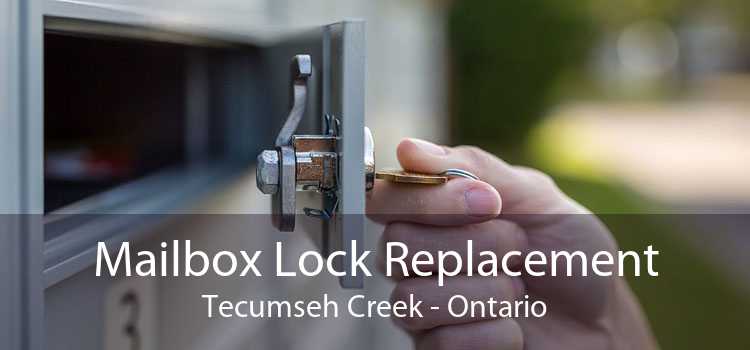 Mailbox Lock Replacement Tecumseh Creek - Ontario