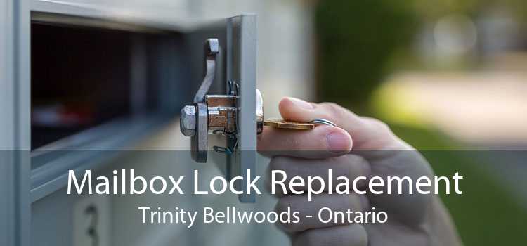 Mailbox Lock Replacement Trinity Bellwoods - Ontario