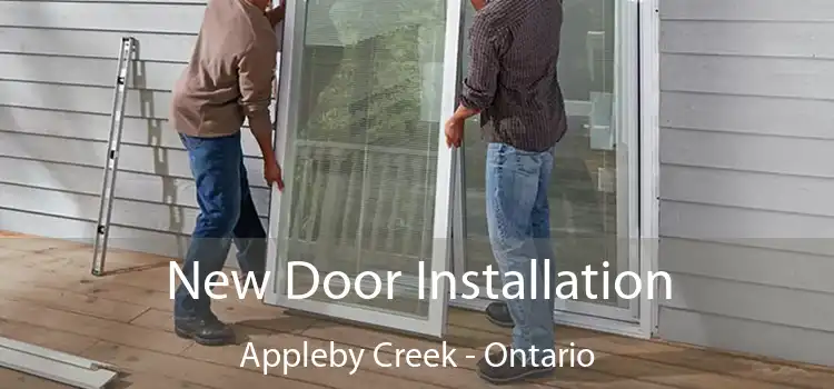 New Door Installation Appleby Creek - Ontario