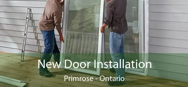 New Door Installation Primrose - Ontario