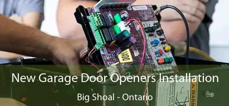 New Garage Door Openers Installation Big Shoal - Ontario