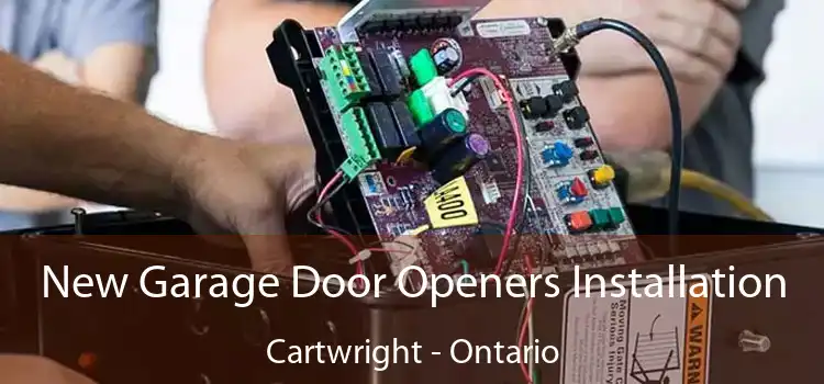 New Garage Door Openers Installation Cartwright - Ontario