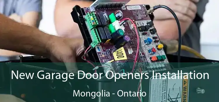 New Garage Door Openers Installation Mongolia - Ontario