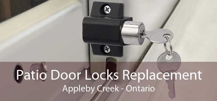 Patio Door Locks Replacement Appleby Creek - Ontario