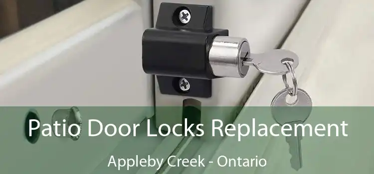 Patio Door Locks Replacement Appleby Creek - Ontario