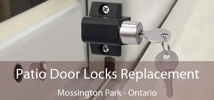 Patio Door Locks Replacement Mossington Park - Ontario