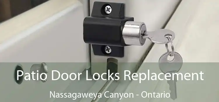 Patio Door Locks Replacement Nassagaweya Canyon - Ontario