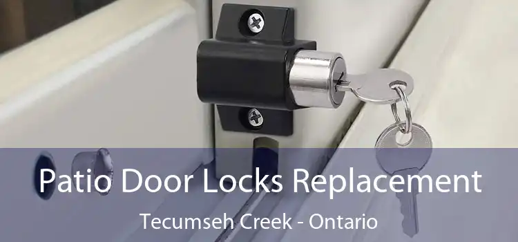 Patio Door Locks Replacement Tecumseh Creek - Ontario