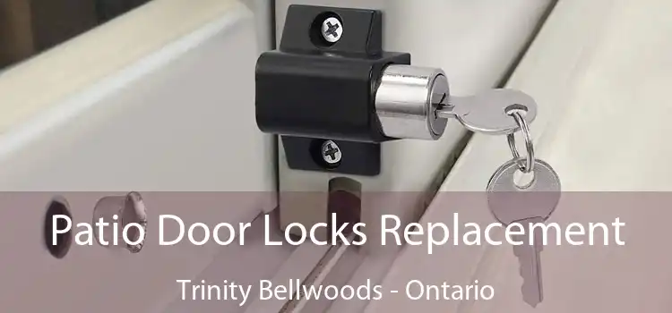 Patio Door Locks Replacement Trinity Bellwoods - Ontario