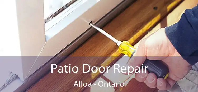 Patio Door Repair Alloa - Ontario