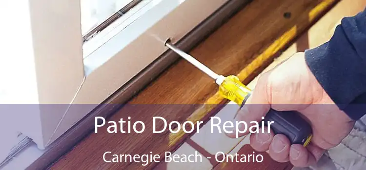 Patio Door Repair Carnegie Beach - Ontario