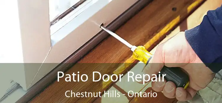 Patio Door Repair Chestnut Hills - Ontario