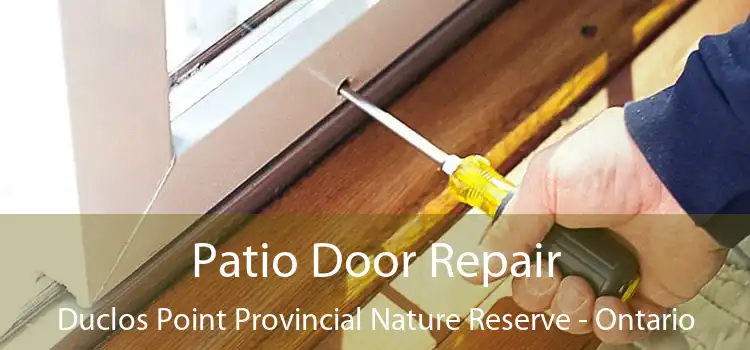 Patio Door Repair Duclos Point Provincial Nature Reserve - Ontario