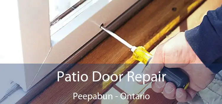 Patio Door Repair Peepabun - Ontario