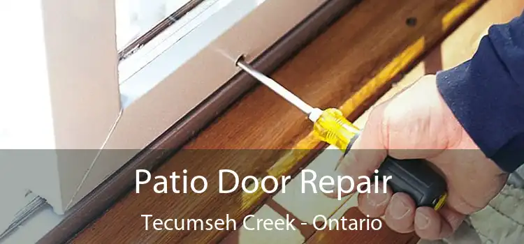 Patio Door Repair Tecumseh Creek - Ontario