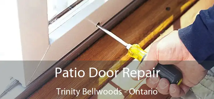 Patio Door Repair Trinity Bellwoods - Ontario