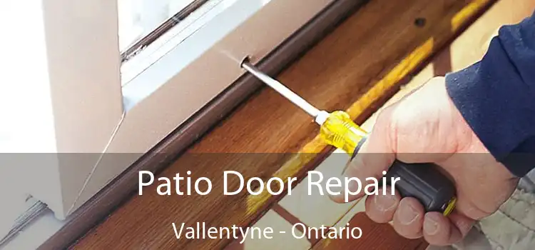 Patio Door Repair Vallentyne - Ontario