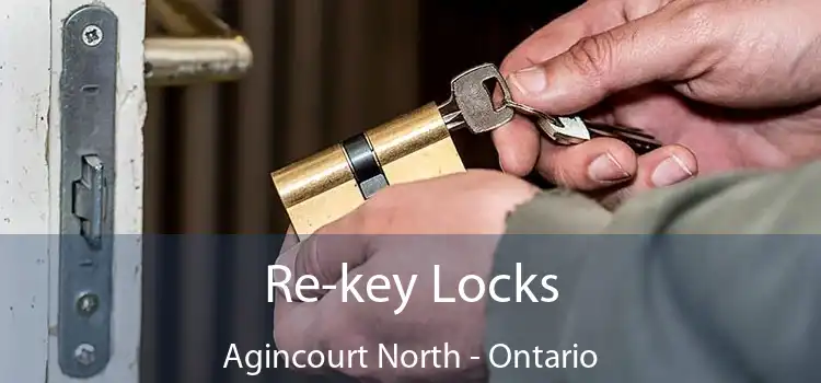 Re-key Locks Agincourt North - Ontario