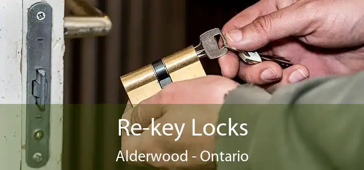 Re-key Locks Alderwood - Ontario