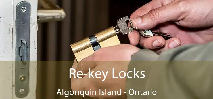 Re-key Locks Algonquin Island - Ontario