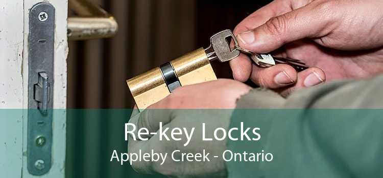 Re-key Locks Appleby Creek - Ontario