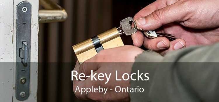 Re-key Locks Appleby - Ontario
