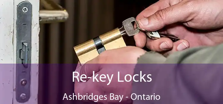 Re-key Locks Ashbridges Bay - Ontario
