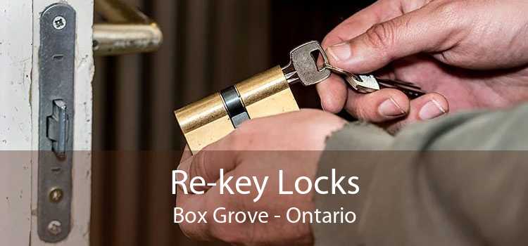 Re-key Locks Box Grove - Ontario