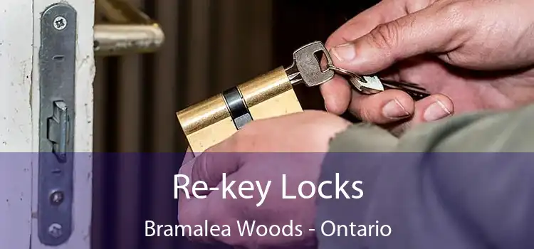 Re-key Locks Bramalea Woods - Ontario