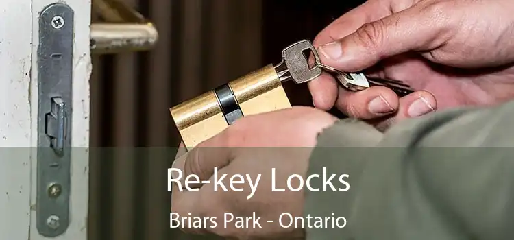 Re-key Locks Briars Park - Ontario
