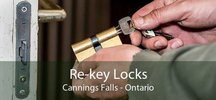 Re-key Locks Cannings Falls - Ontario
