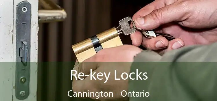 Re-key Locks Cannington - Ontario