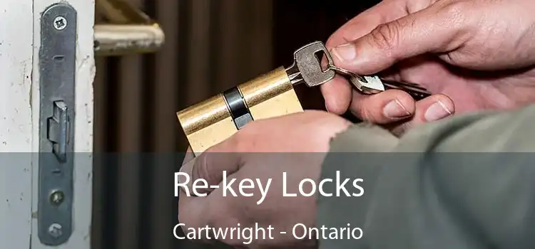 Re-key Locks Cartwright - Ontario