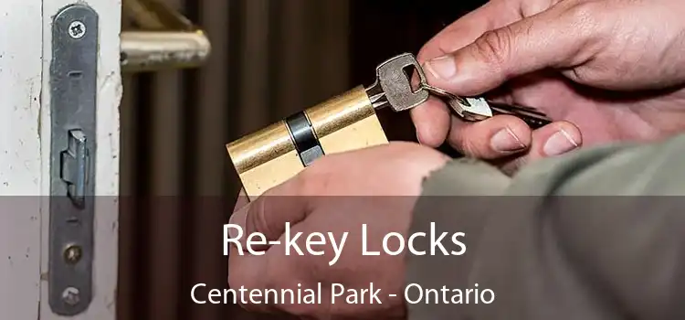 Re-key Locks Centennial Park - Ontario
