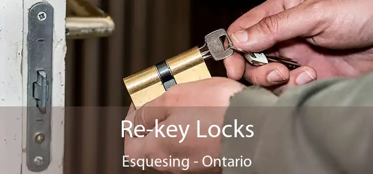 Re-key Locks Esquesing - Ontario
