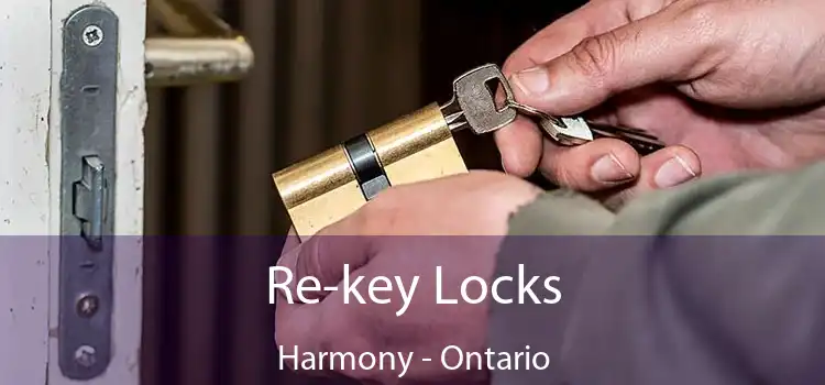 Re-key Locks Harmony - Ontario