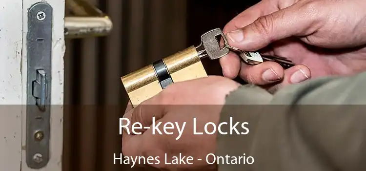 Re-key Locks Haynes Lake - Ontario