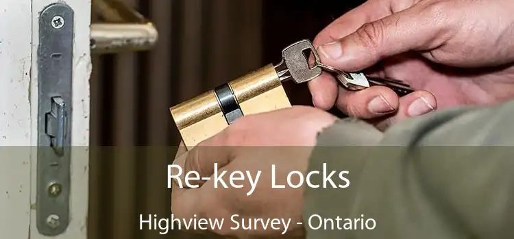Re-key Locks Highview Survey - Ontario