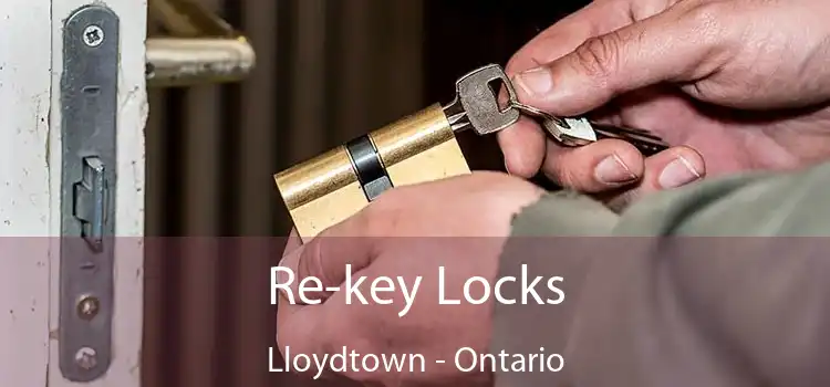 Re-key Locks Lloydtown - Ontario