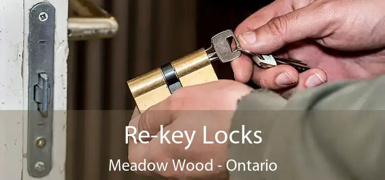 Re-key Locks Meadow Wood - Ontario