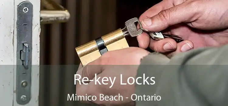 Re-key Locks Mimico Beach - Ontario