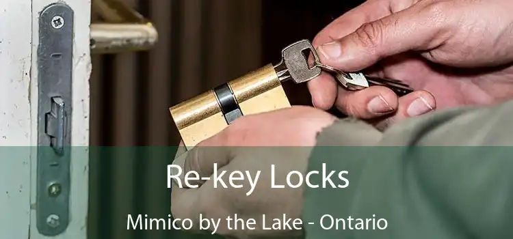 Re-key Locks Mimico by the Lake - Ontario