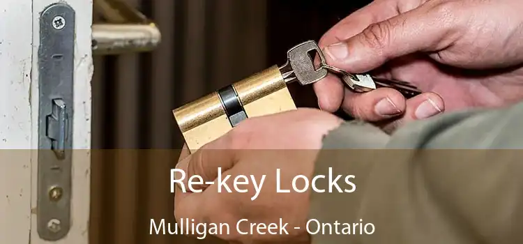 Re-key Locks Mulligan Creek - Ontario