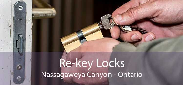 Re-key Locks Nassagaweya Canyon - Ontario
