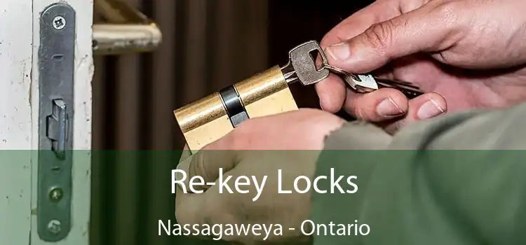 Re-key Locks Nassagaweya - Ontario
