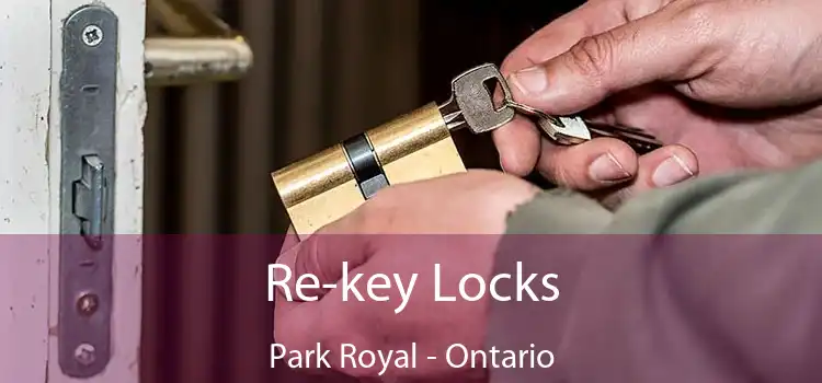 Re-key Locks Park Royal - Ontario