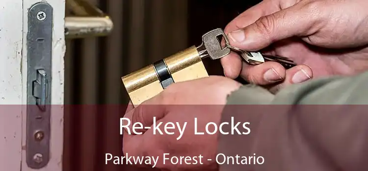 Re-key Locks Parkway Forest - Ontario